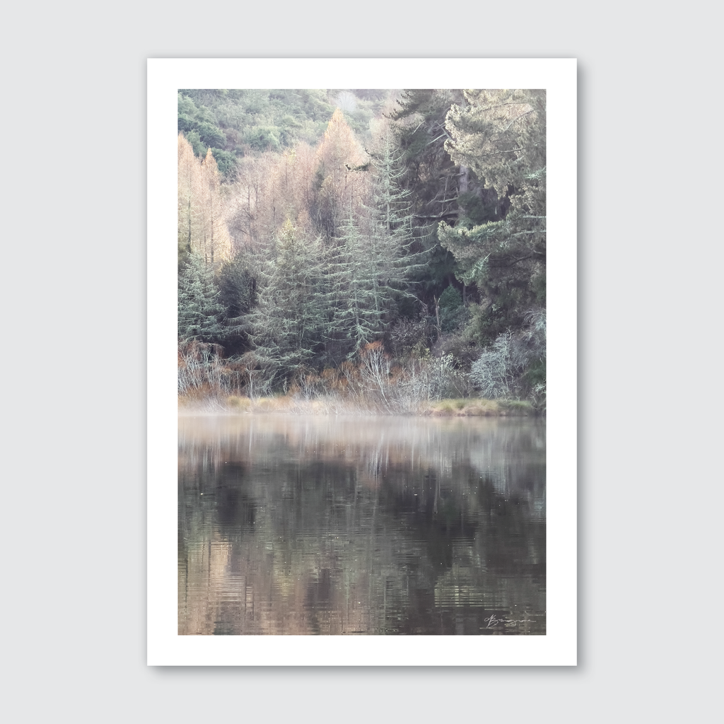 A photograph depicting a serene woodsy scene in Southland New Zealand, with trees reflecting in a still body of water, with a soft, natural palette.