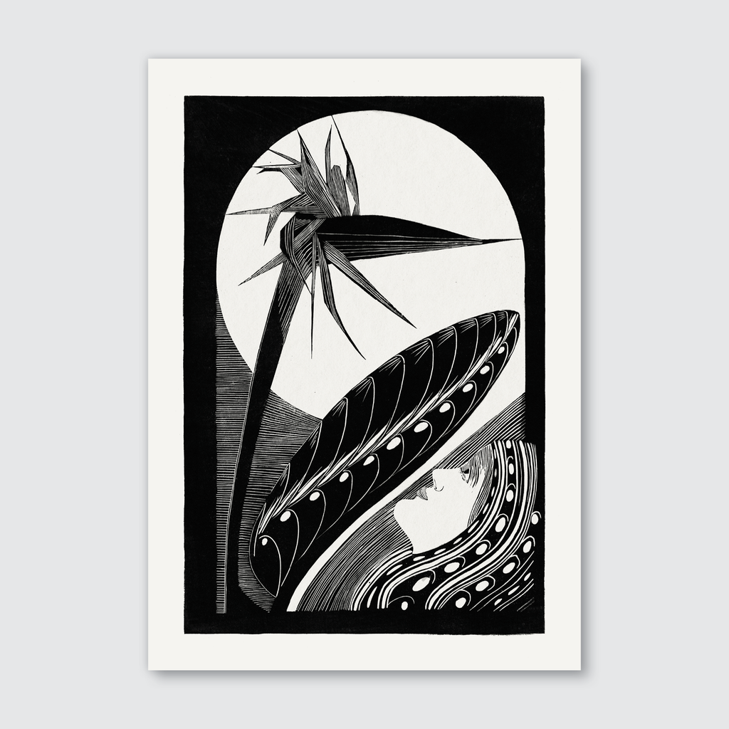 Strelitzia Overblown (1934)