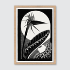 Strelitzia Overblown (1934)