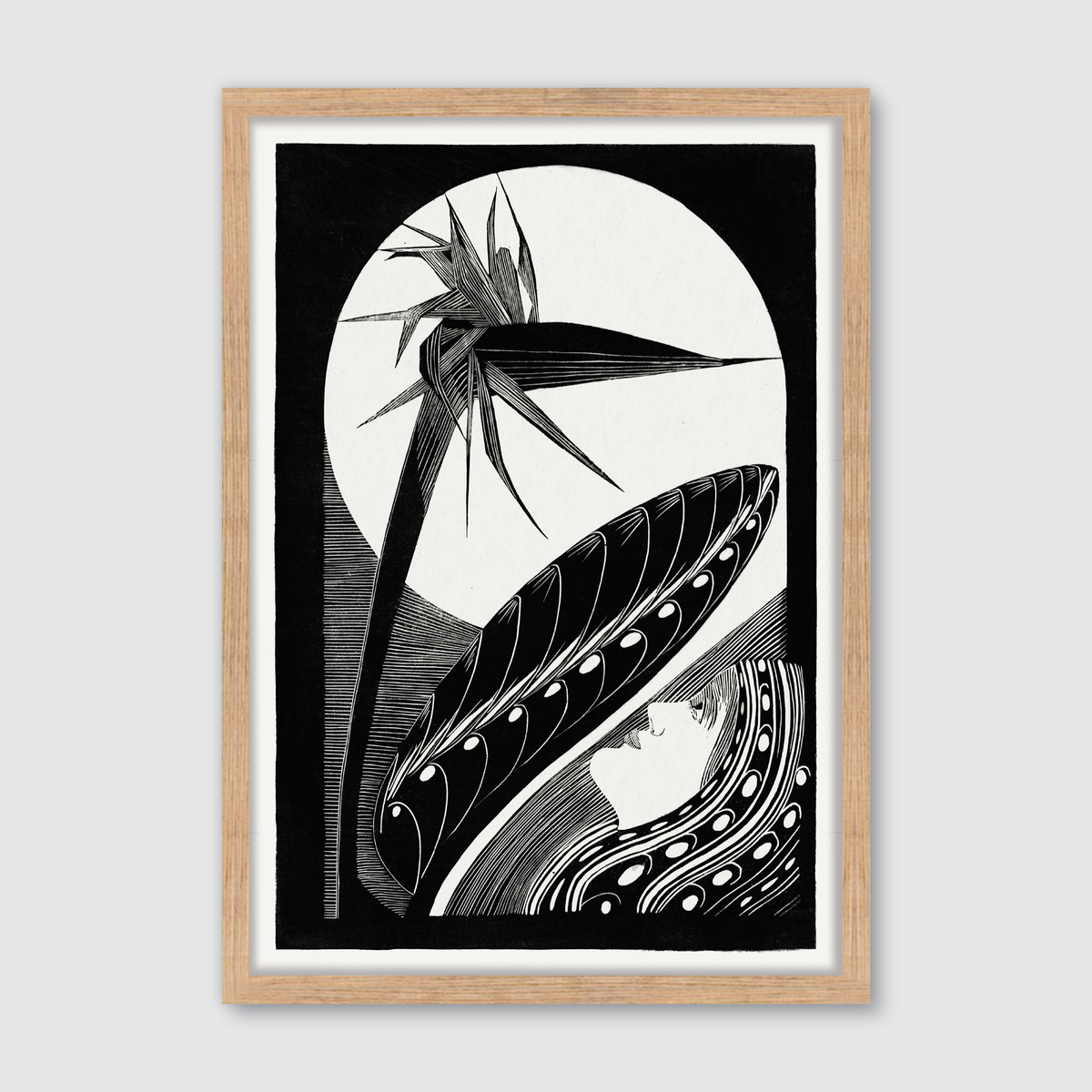 Strelitzia Overblown (1934)
