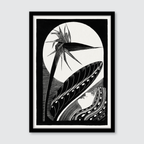Strelitzia Overblown (1934)