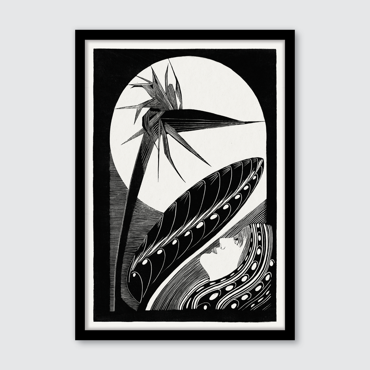 Strelitzia Overblown (1934)