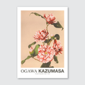 Striped Camellias