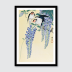 Swallows & Wisteria