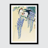 Swallows & Wisteria