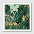 The Equatorial Jungle