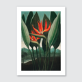 Queen Plant (1807)