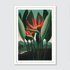 Queen Plant (1807)