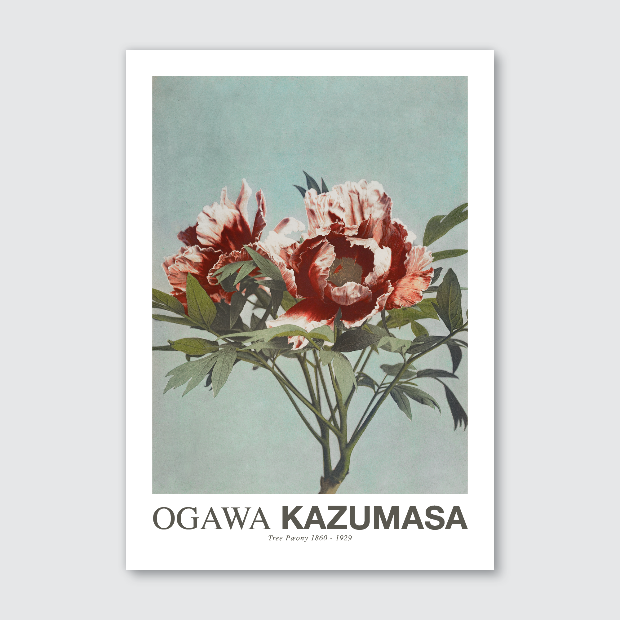 Art Prints by Ogawa Kazumasa | Shop Online | Art & Realism