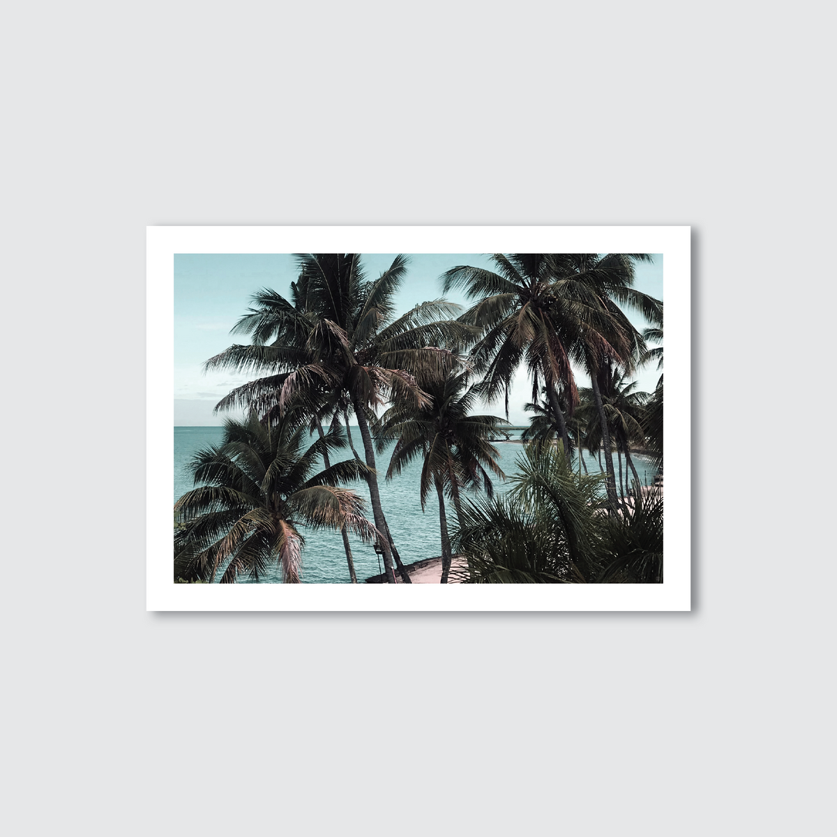  photography print of tropical palm trees with a ocean in the background, capturing a serene beach scene.
