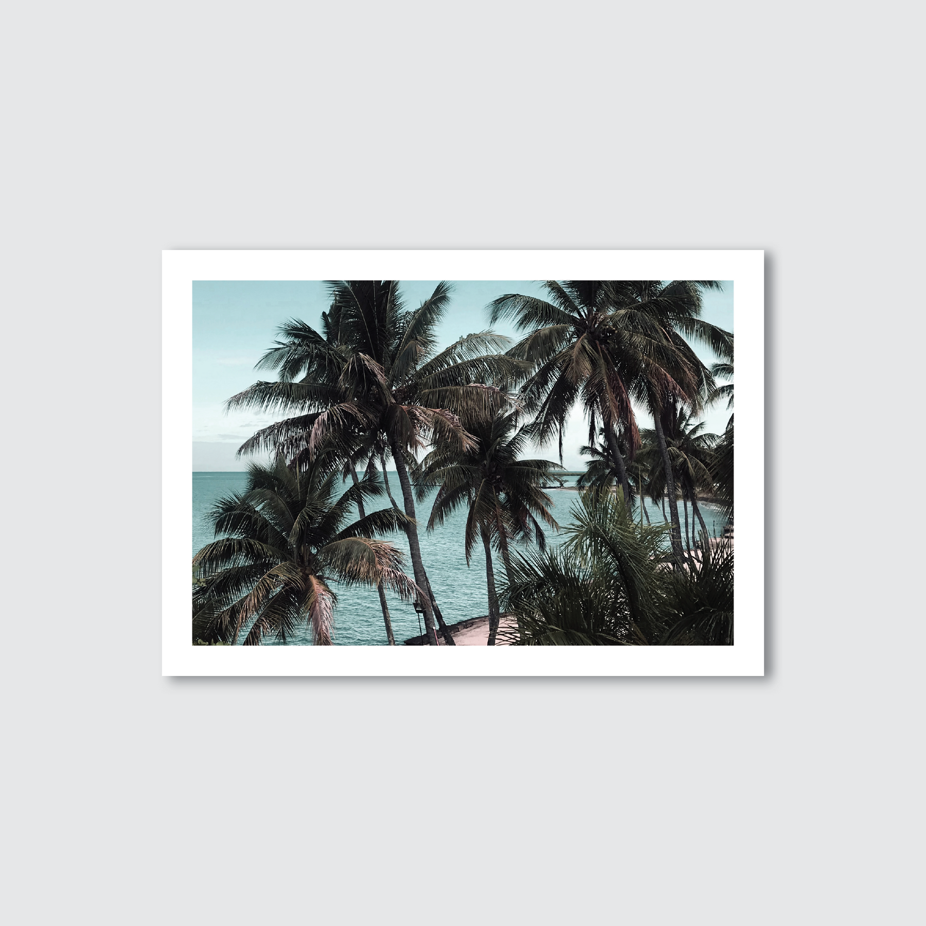  photography print of tropical palm trees with a ocean in the background, capturing a serene beach scene.