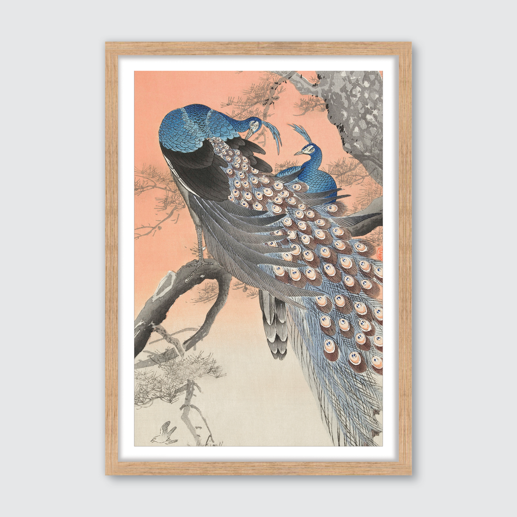 Two Peacocks on Tree Branch