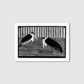 Framed artwork of two black and white birds on a gray background
