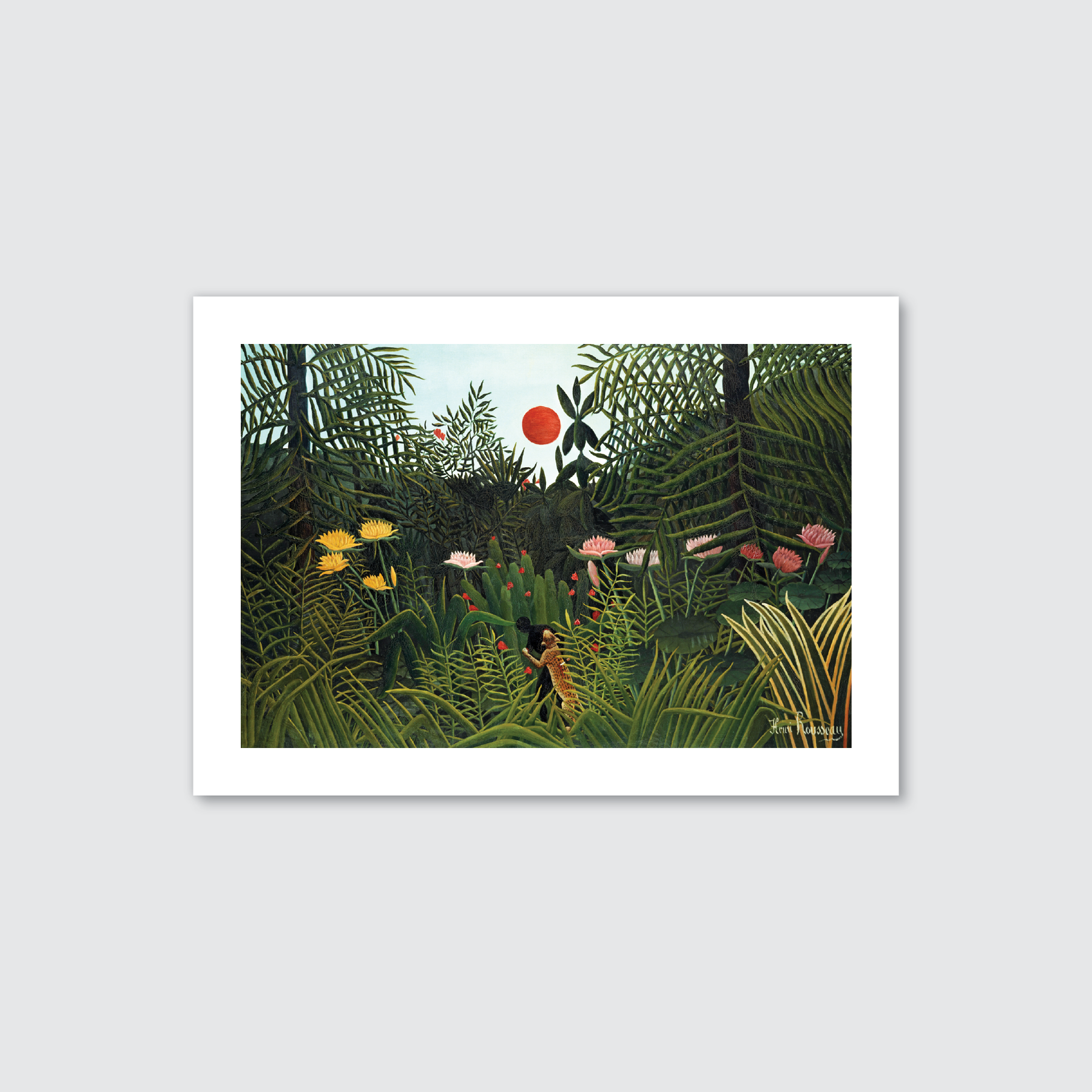 Virgin Forest with Sunset