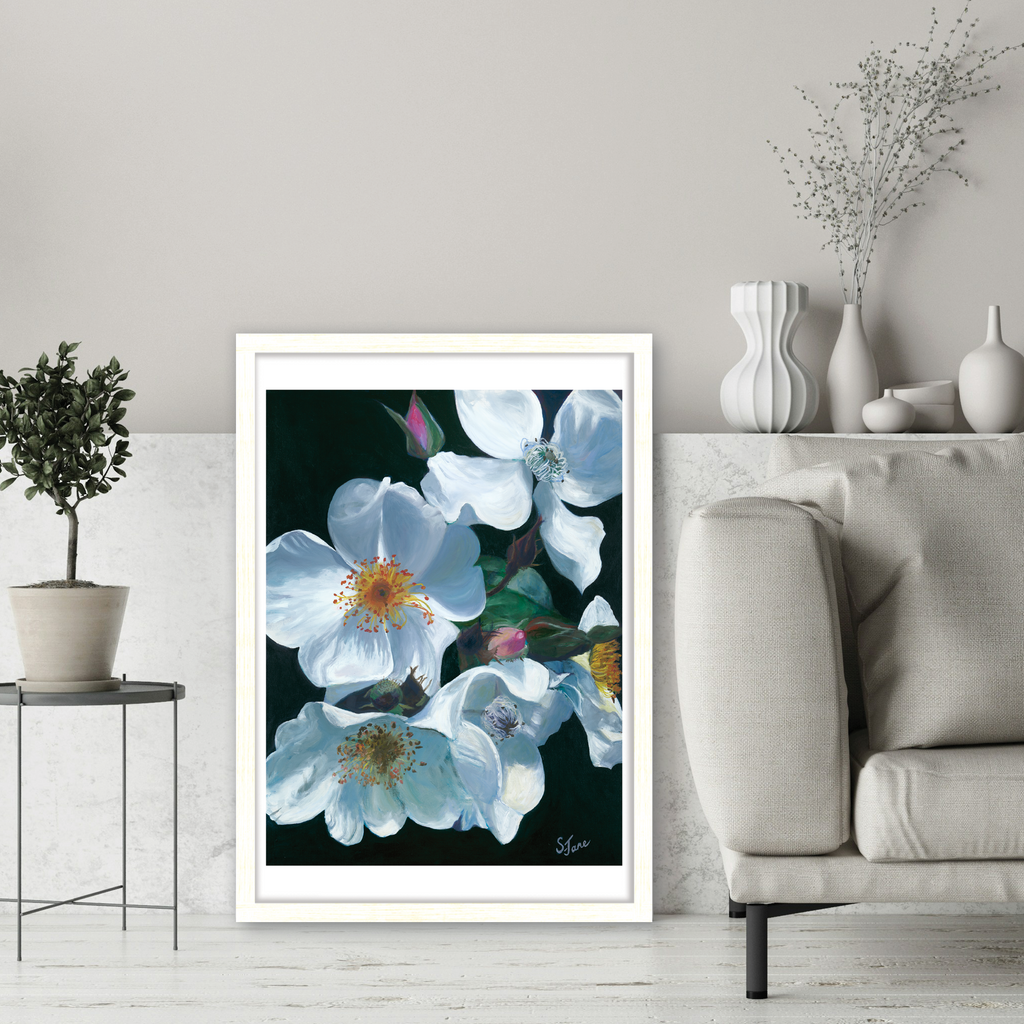 White Tumbling Briar Roses