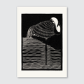 White–necked Crane (1927)