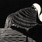 White–necked Crane (1927)