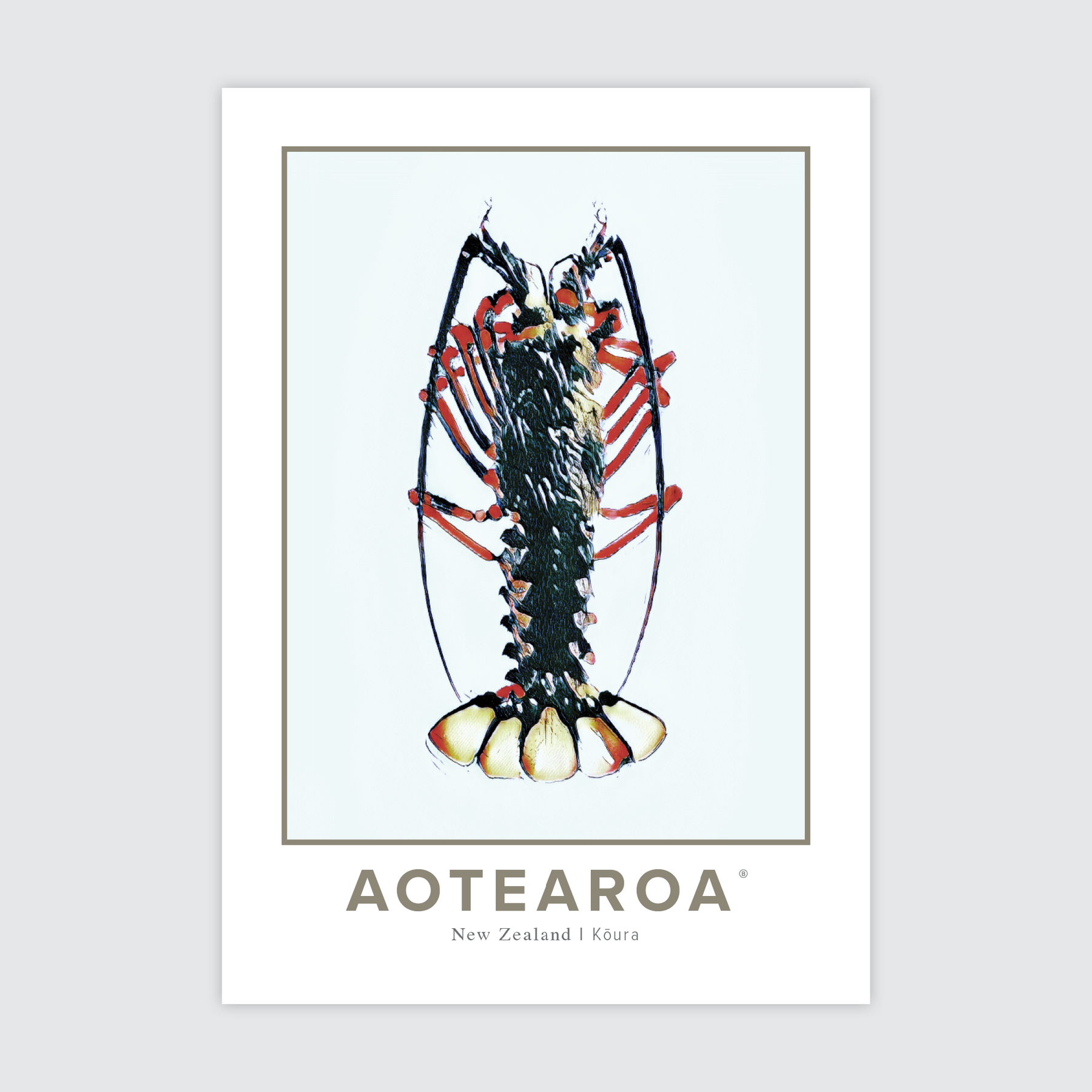 Aotearoa Kōura ✜