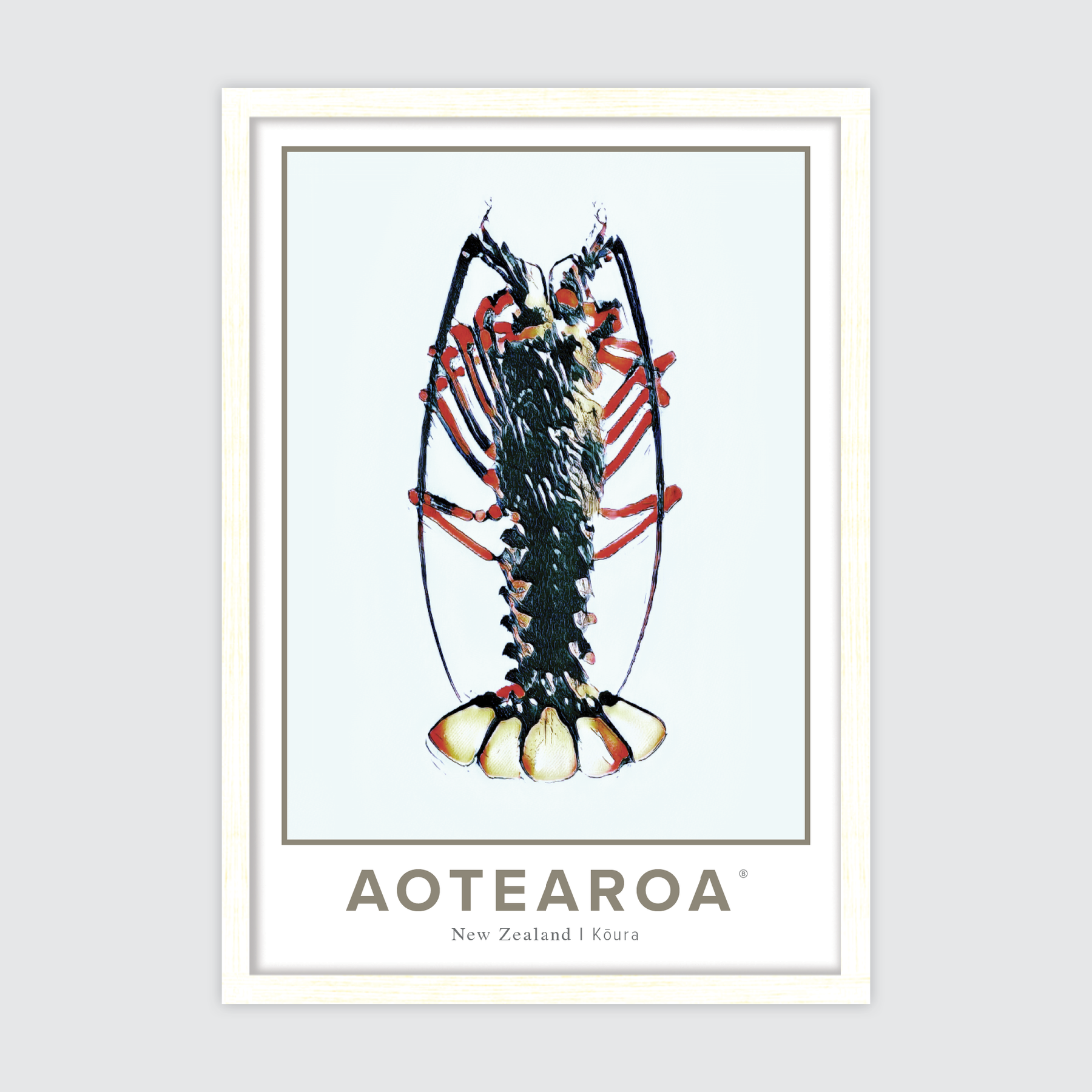 Aotearoa Kōura ✜