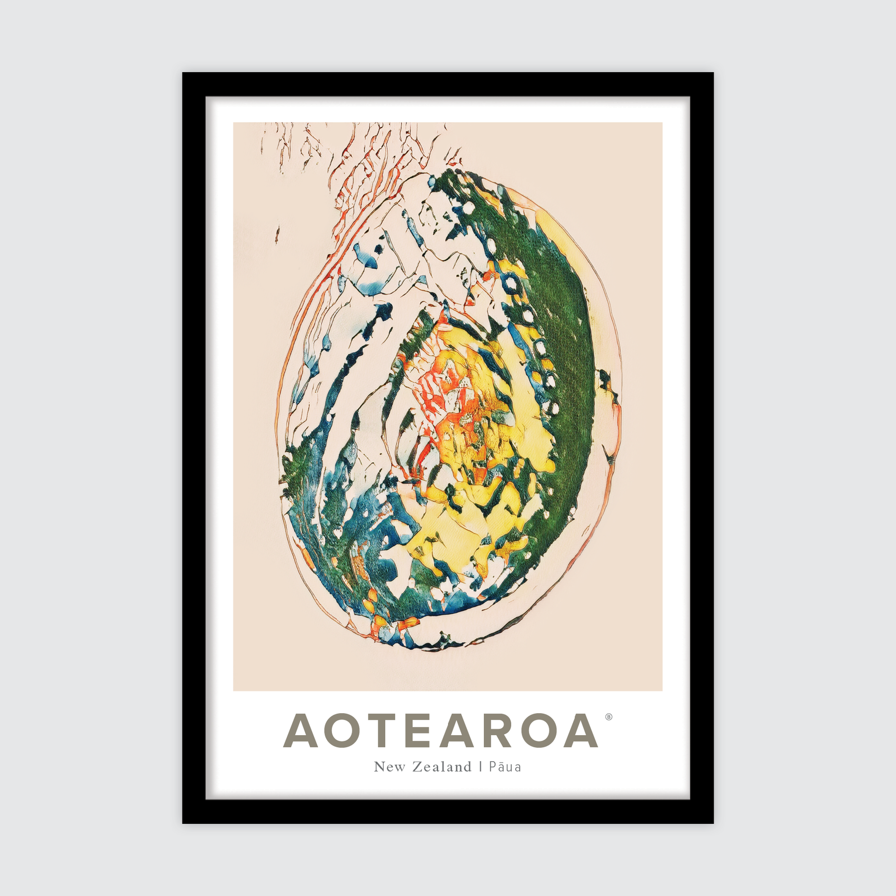 Aotearoa Pāua ✜