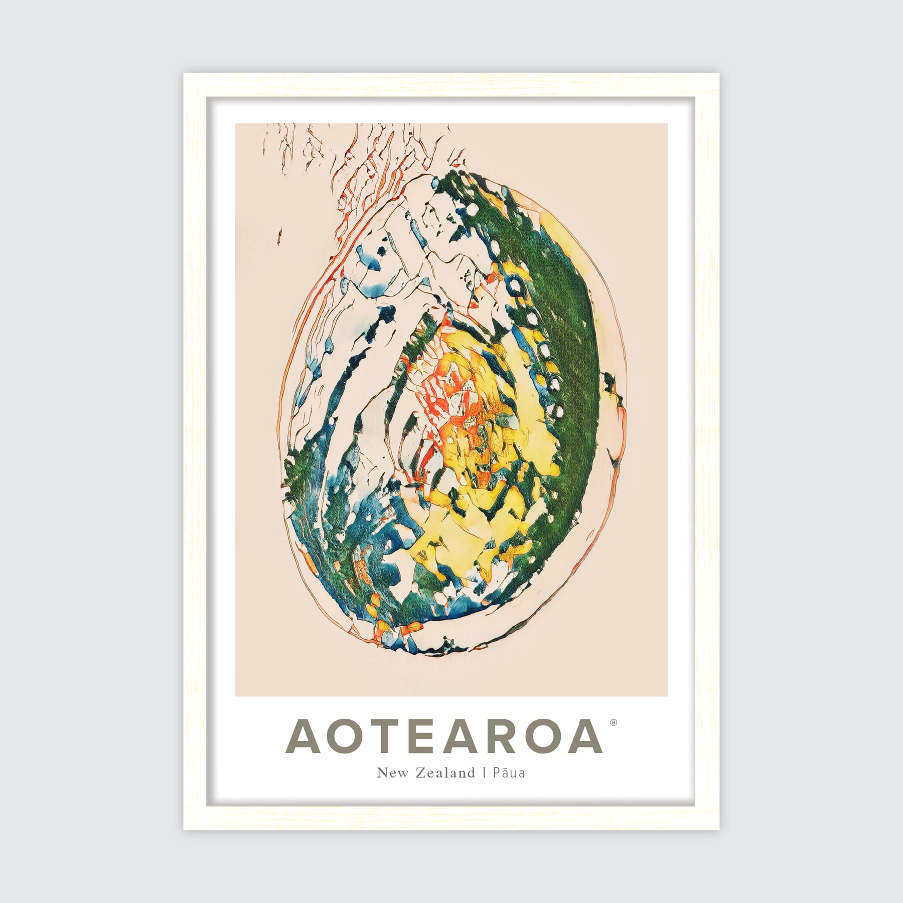 Aotearoa Pāua ✜