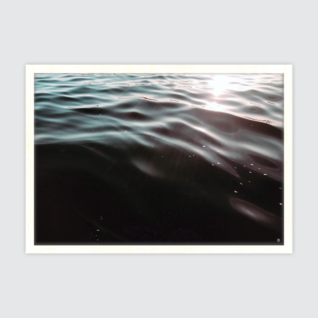 Exotic Ocean