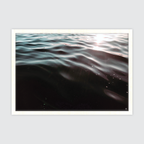 Exotic Ocean