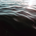 Exotic Ocean