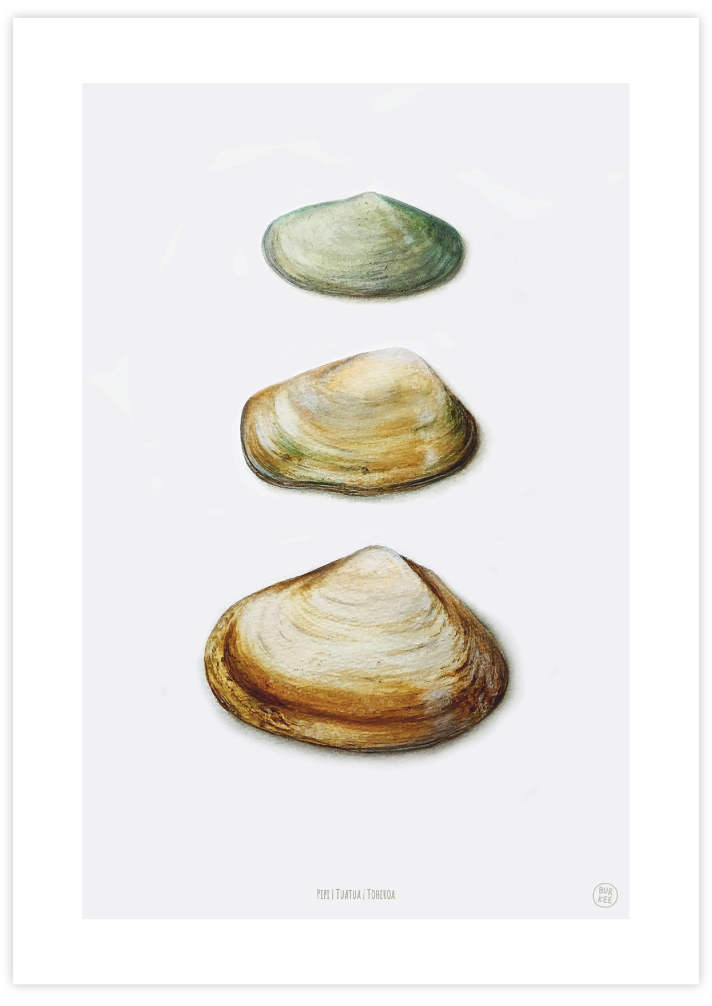 Kai Three NZ Shellfish Wall Art Print by Burkee | artandrealism.com