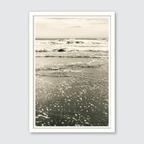 Golden Shore
