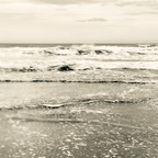 Golden Shore