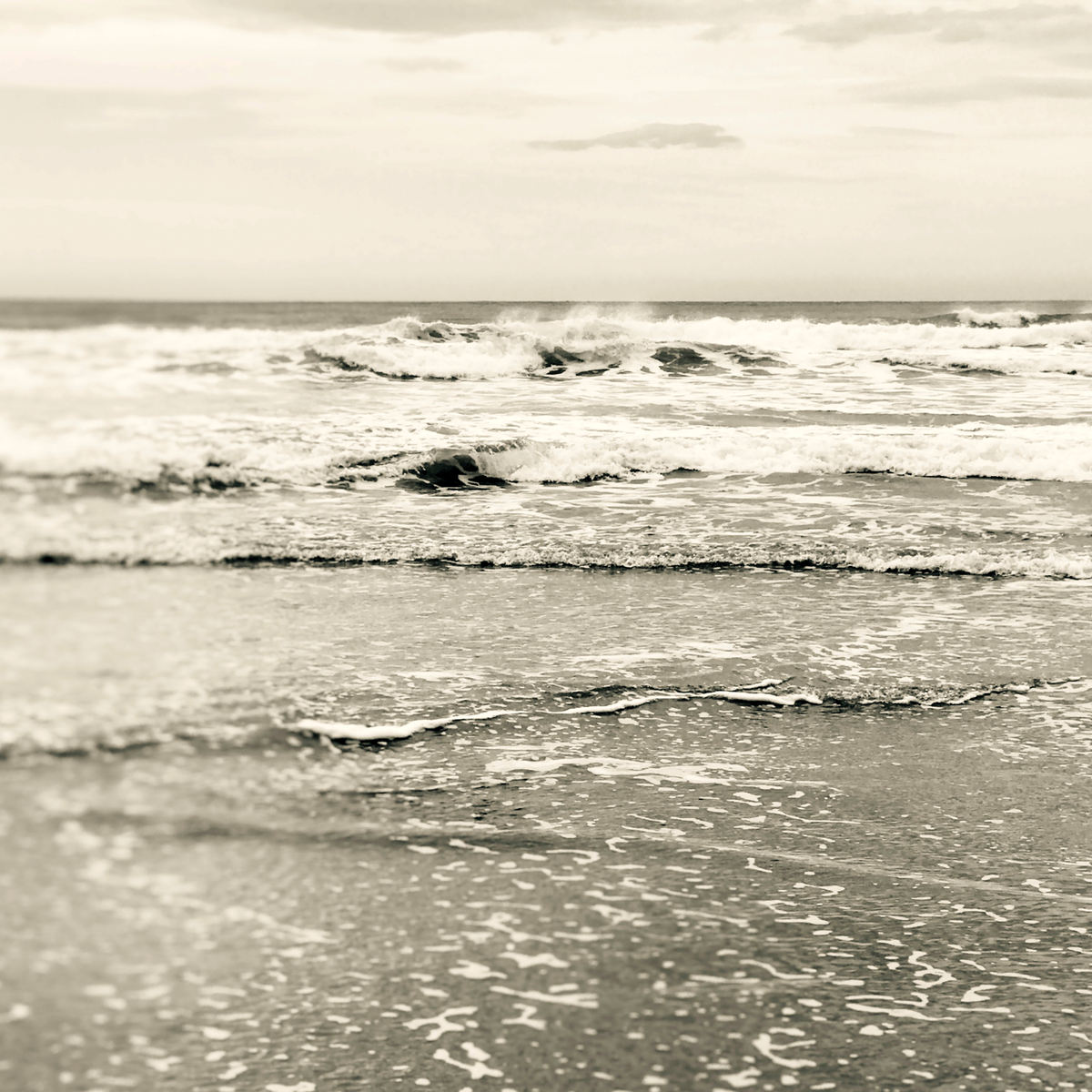 Golden Shore