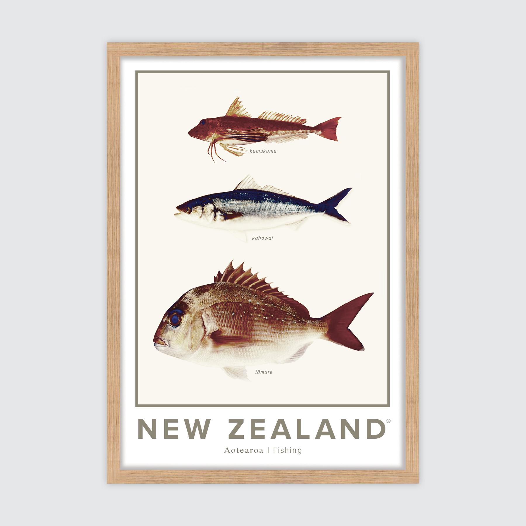 NZ Fishing ✜