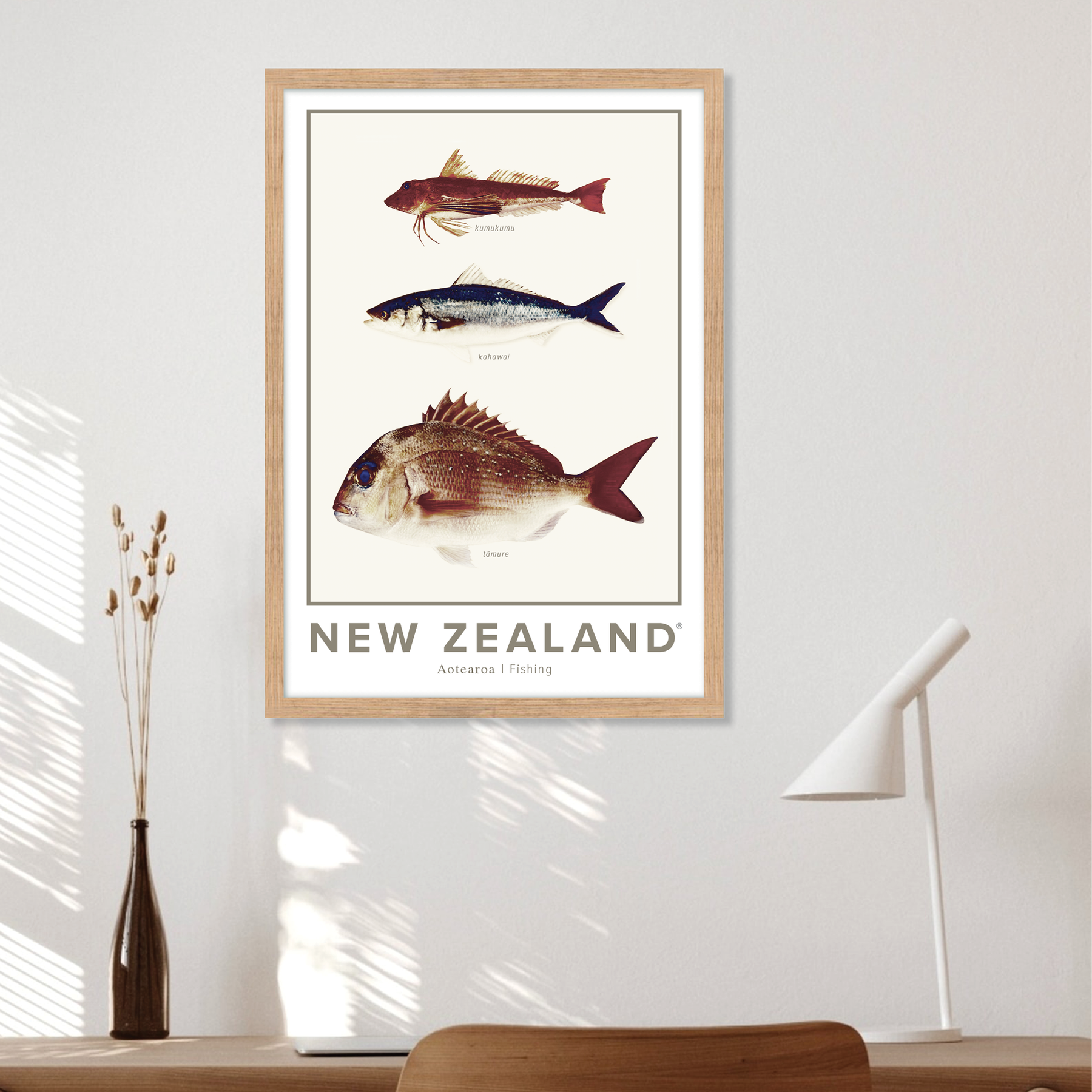 NZ Fishing ✜