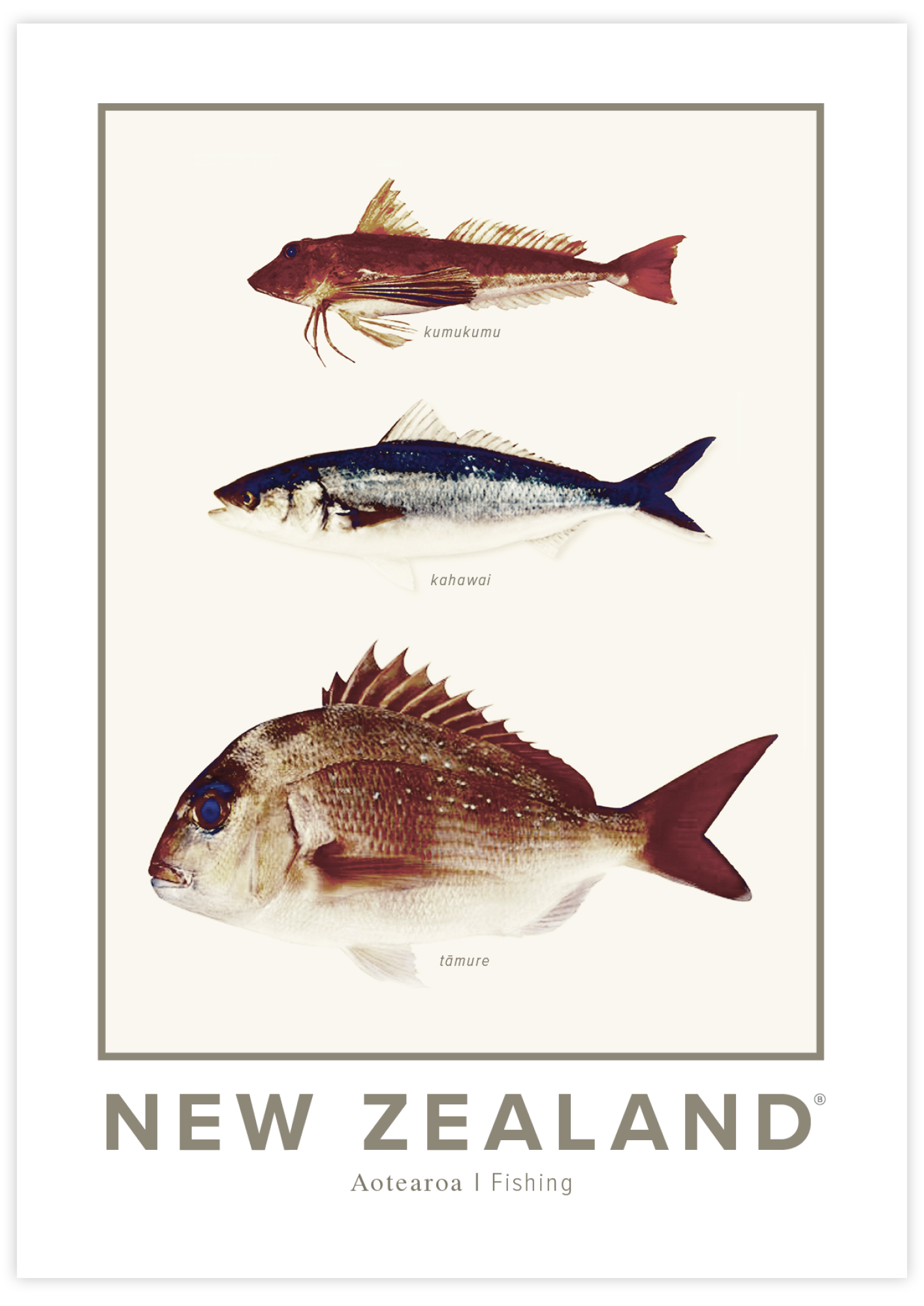 NZ Fishing ✜