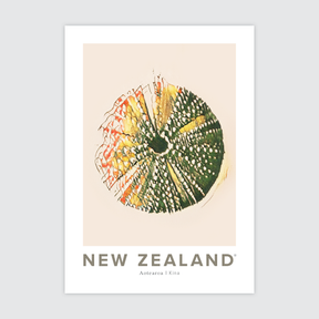 NZ Kina