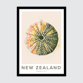 NZ Kina