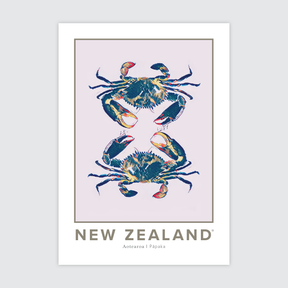 Pāpaka Aotearoa ✜