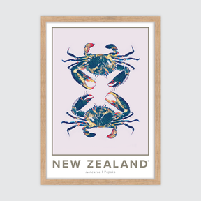 Pāpaka Aotearoa ✜