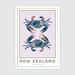 Pāpaka Aotearoa ✜