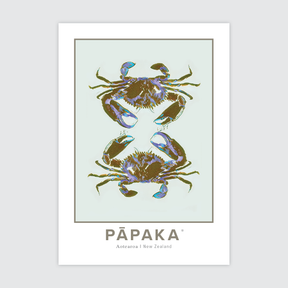 Pāpaka Aotearoa ✜