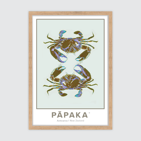 Pāpaka Aotearoa ✜