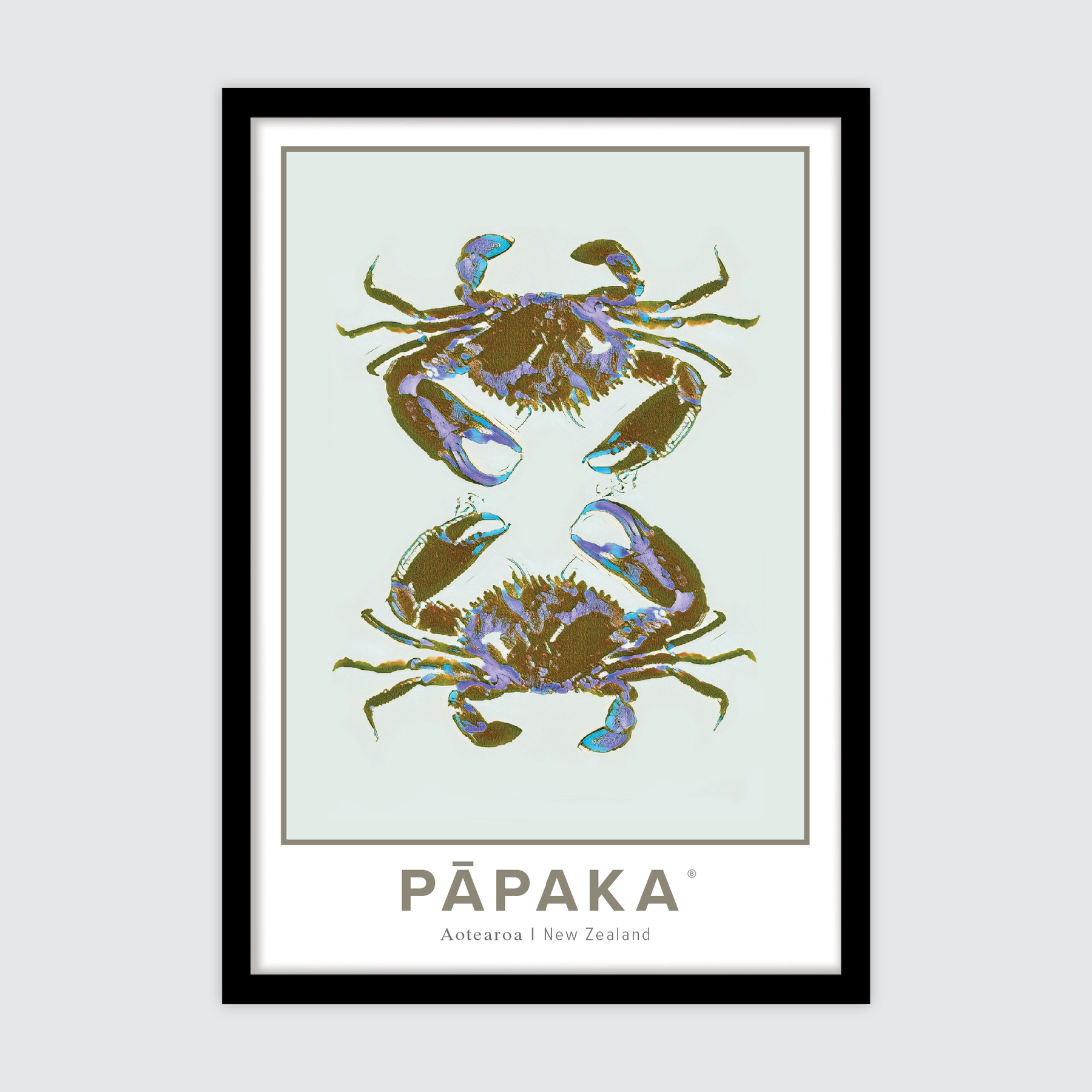 Pāpaka Aotearoa ✜