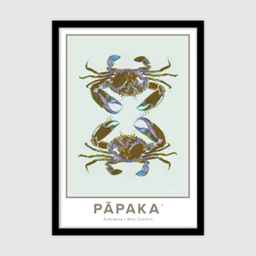 Pāpaka Aotearoa ✜