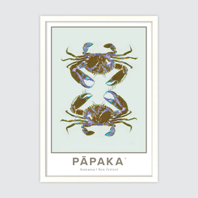 Pāpaka Aotearoa ✜