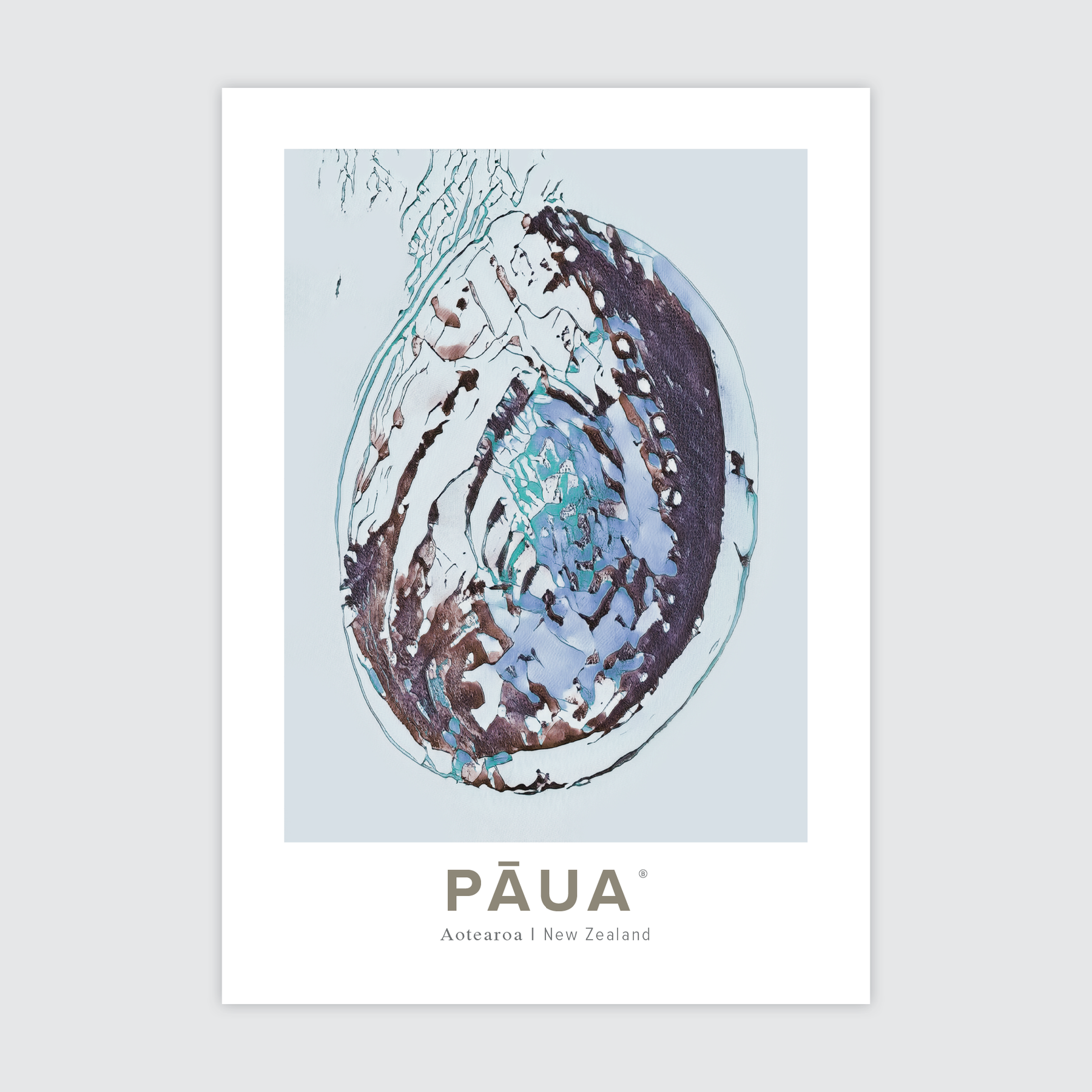 Aotearoa Pāua ✜