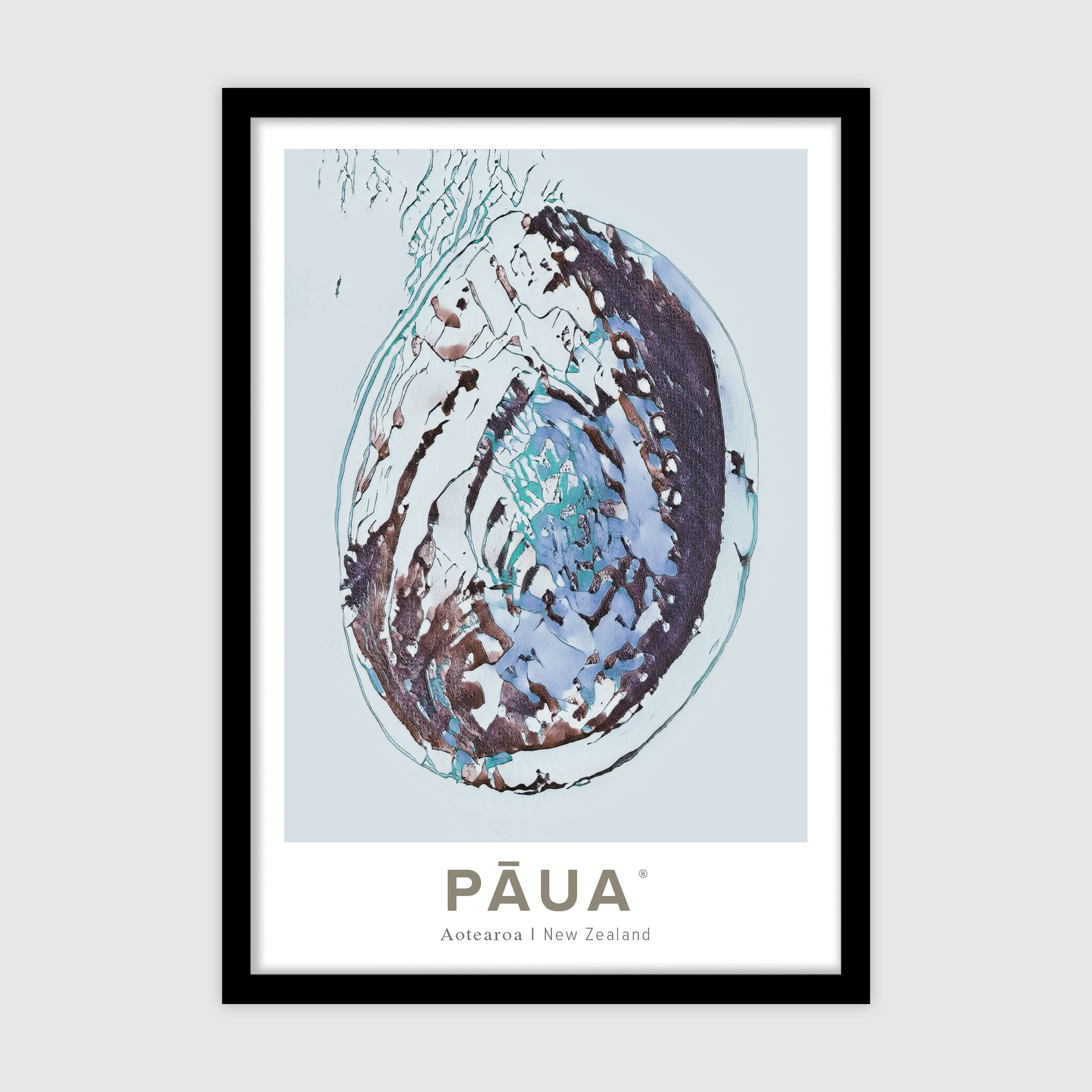 Aotearoa Pāua ✜