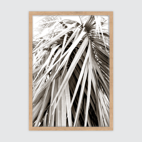 Scandi Palm