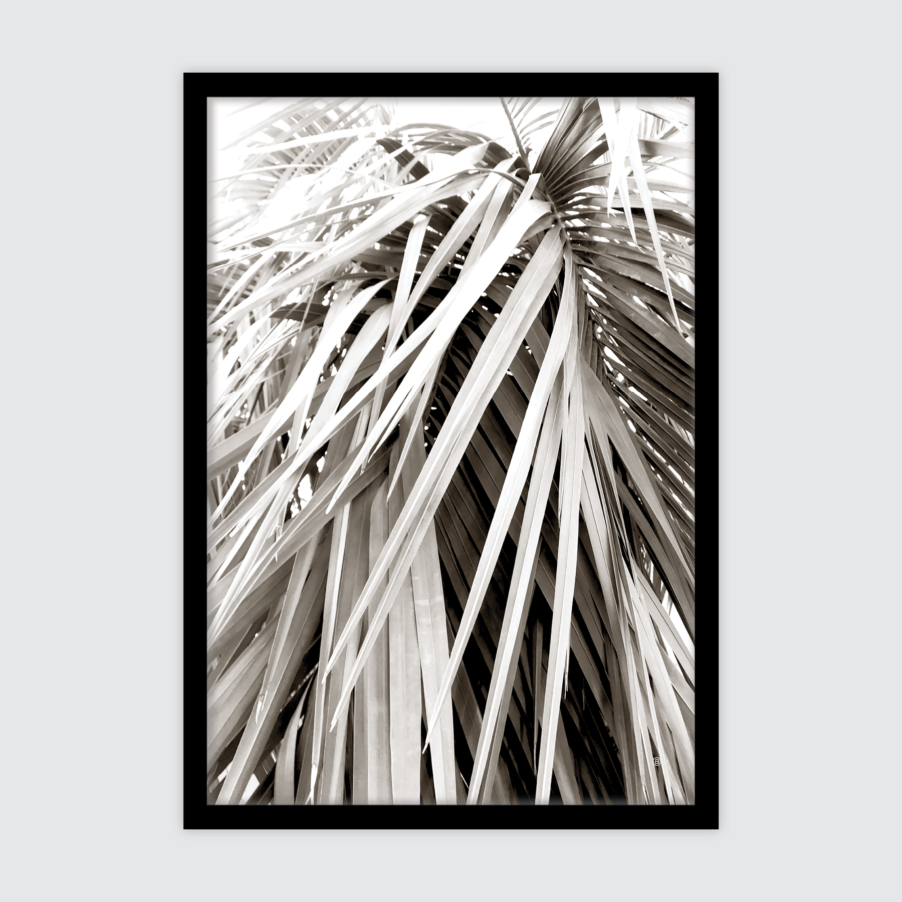 Scandi Palm