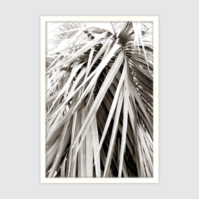 Scandi Palm